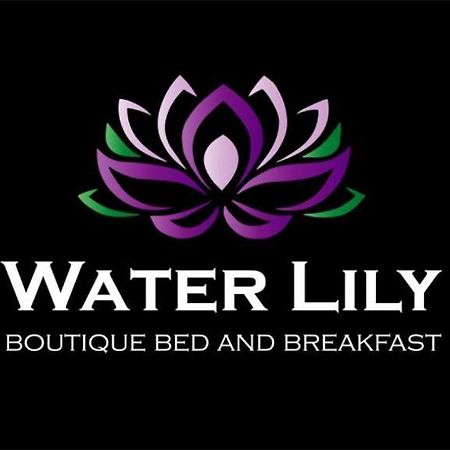 Water Lily Boutique B&B And Bungalow Hévíz Eksteriør billede